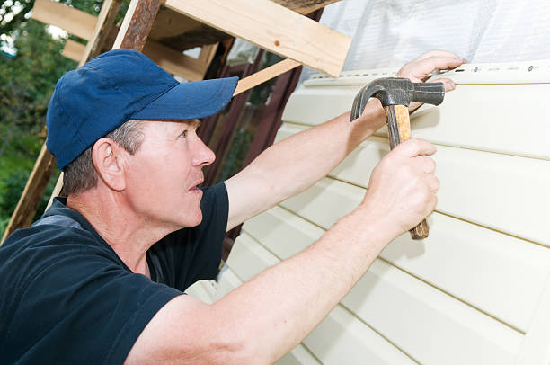 Best Custom Trim and Detailing for Siding  in Meraux, LA